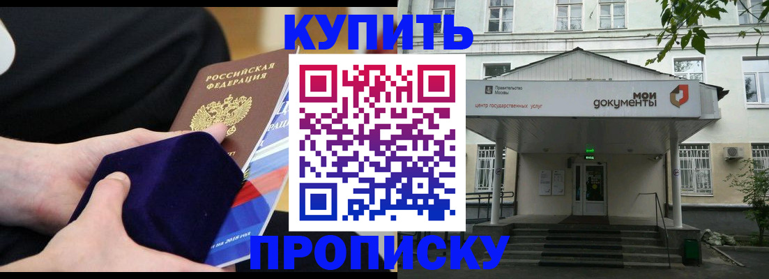 прописка поиск в Курске